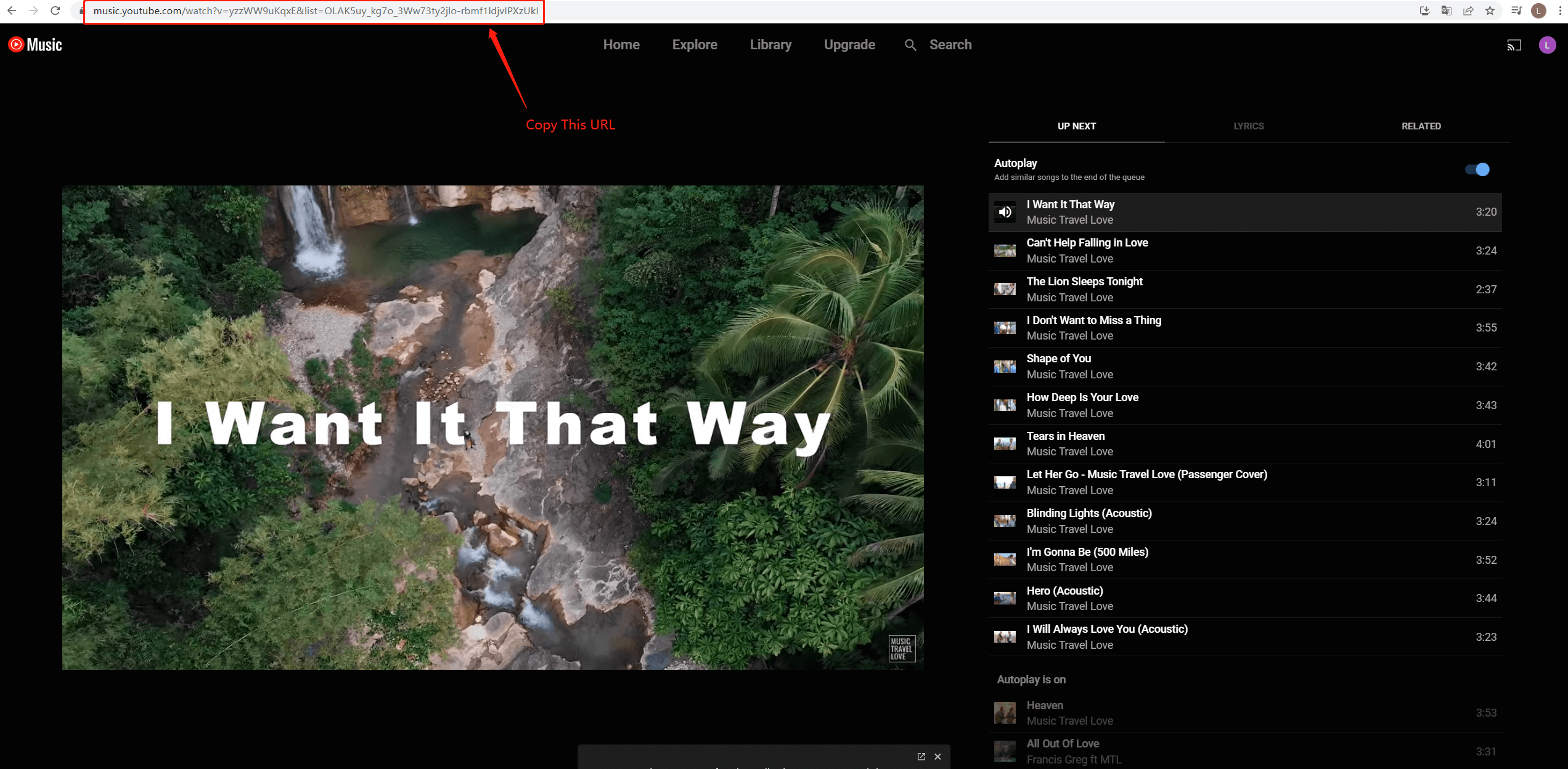 YouTube Music URL